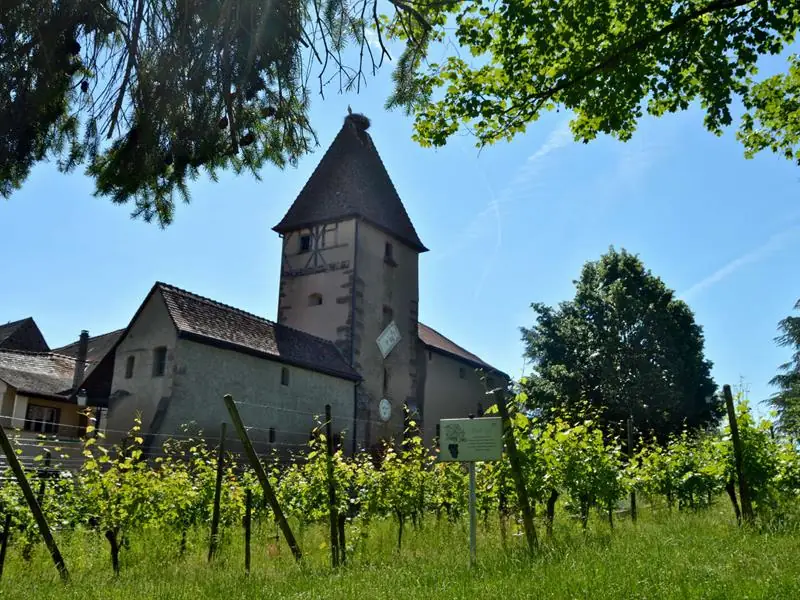 Mini-rallye - Découverte du vignoble