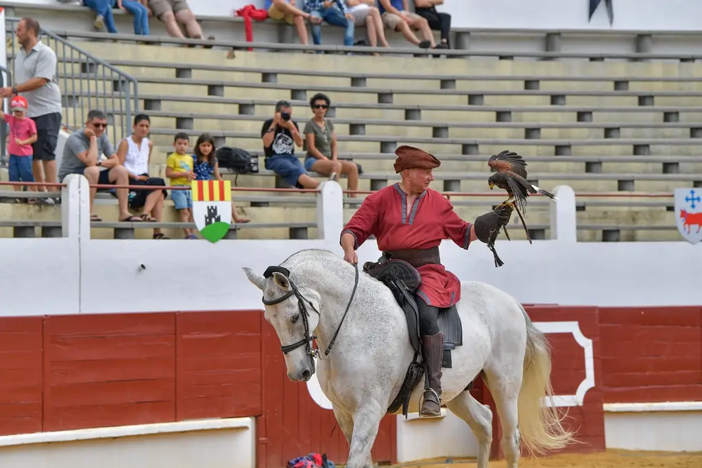 Arènes Henri Capdeville