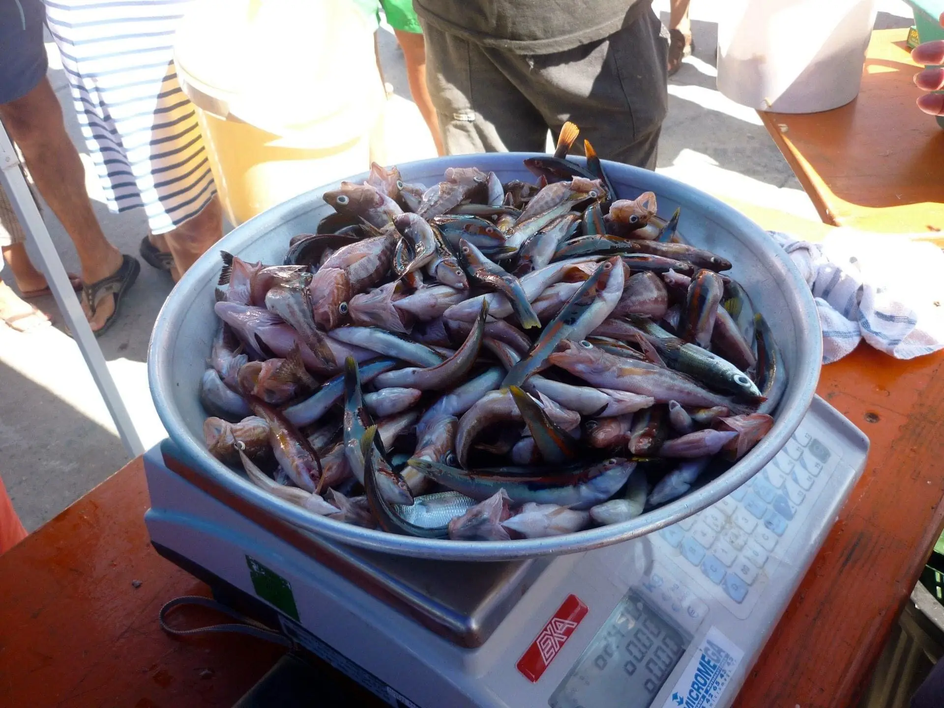 Journée pêche à Carro