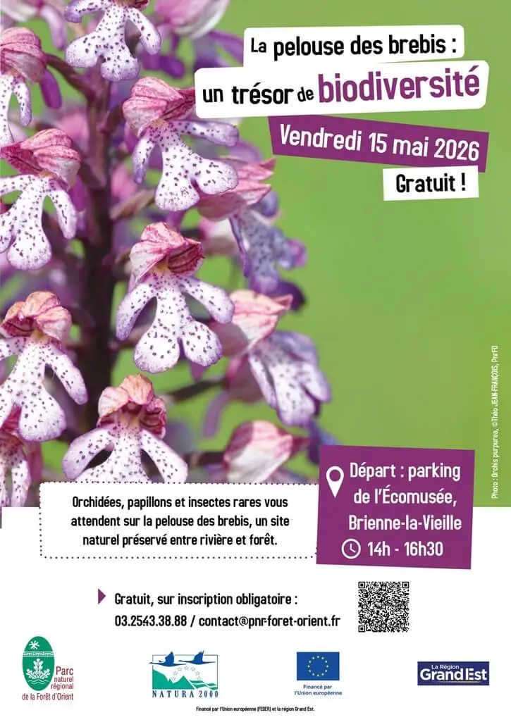 La pelouse des brebis et sa biodiversité