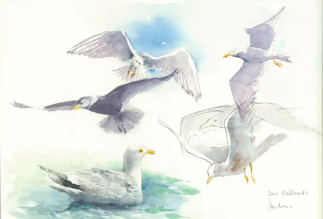 Initiation à l'aquarelle naturaliste