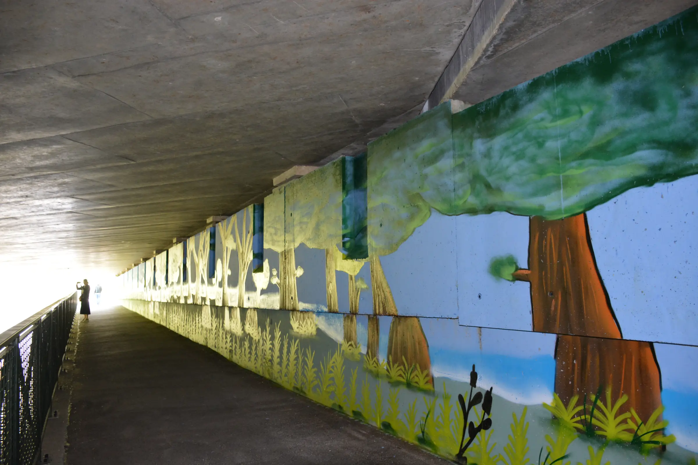 Fresque de Cédric Arfa sur le Canal d'Orléans (D2060)