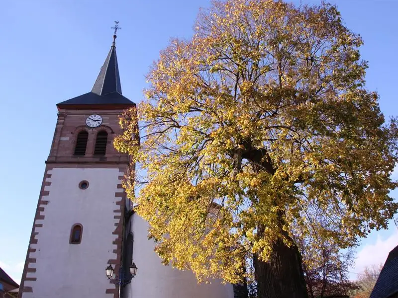 Eglise Saint-Wendelin