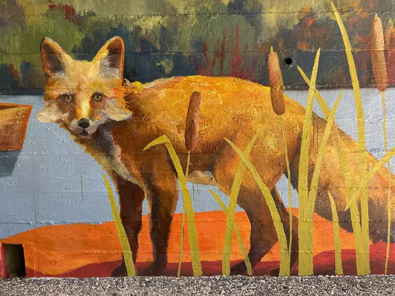 Fresque de Mapecco sur le Canal d'Orléans