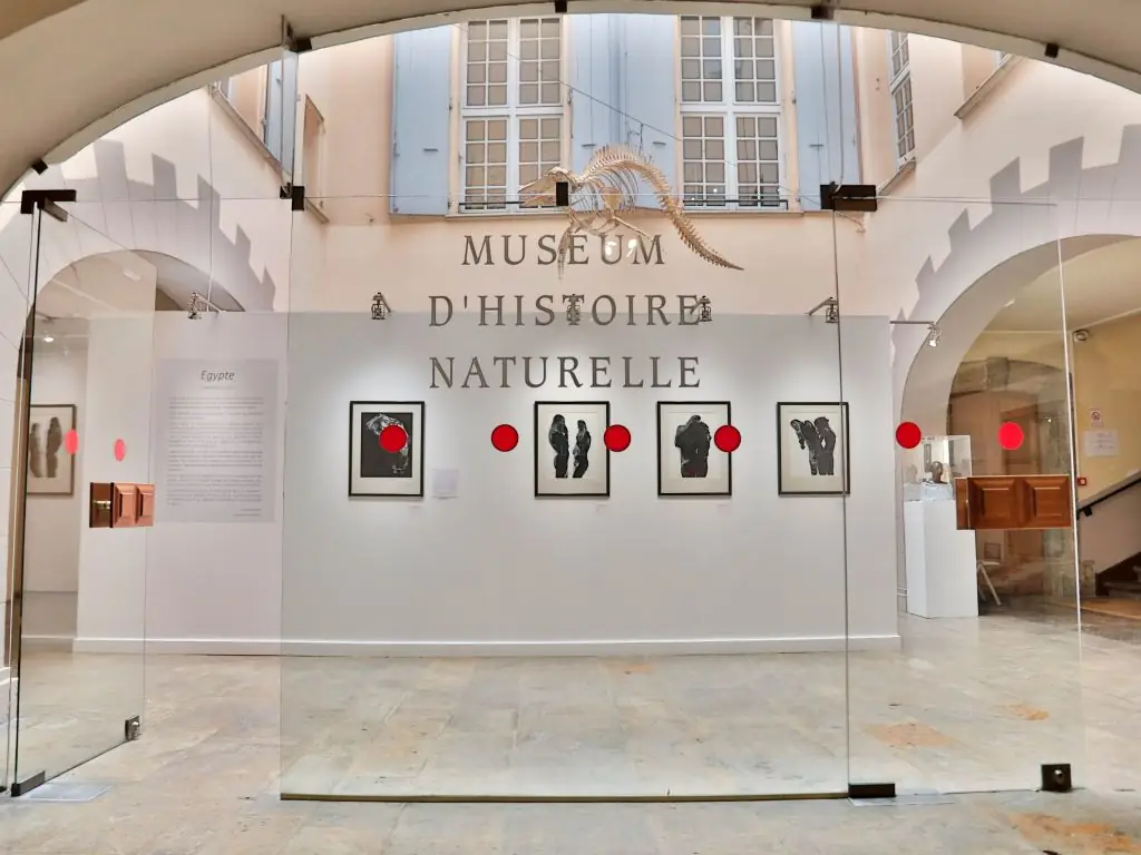 MUSEUM D'HISTOIRE NATURELLE