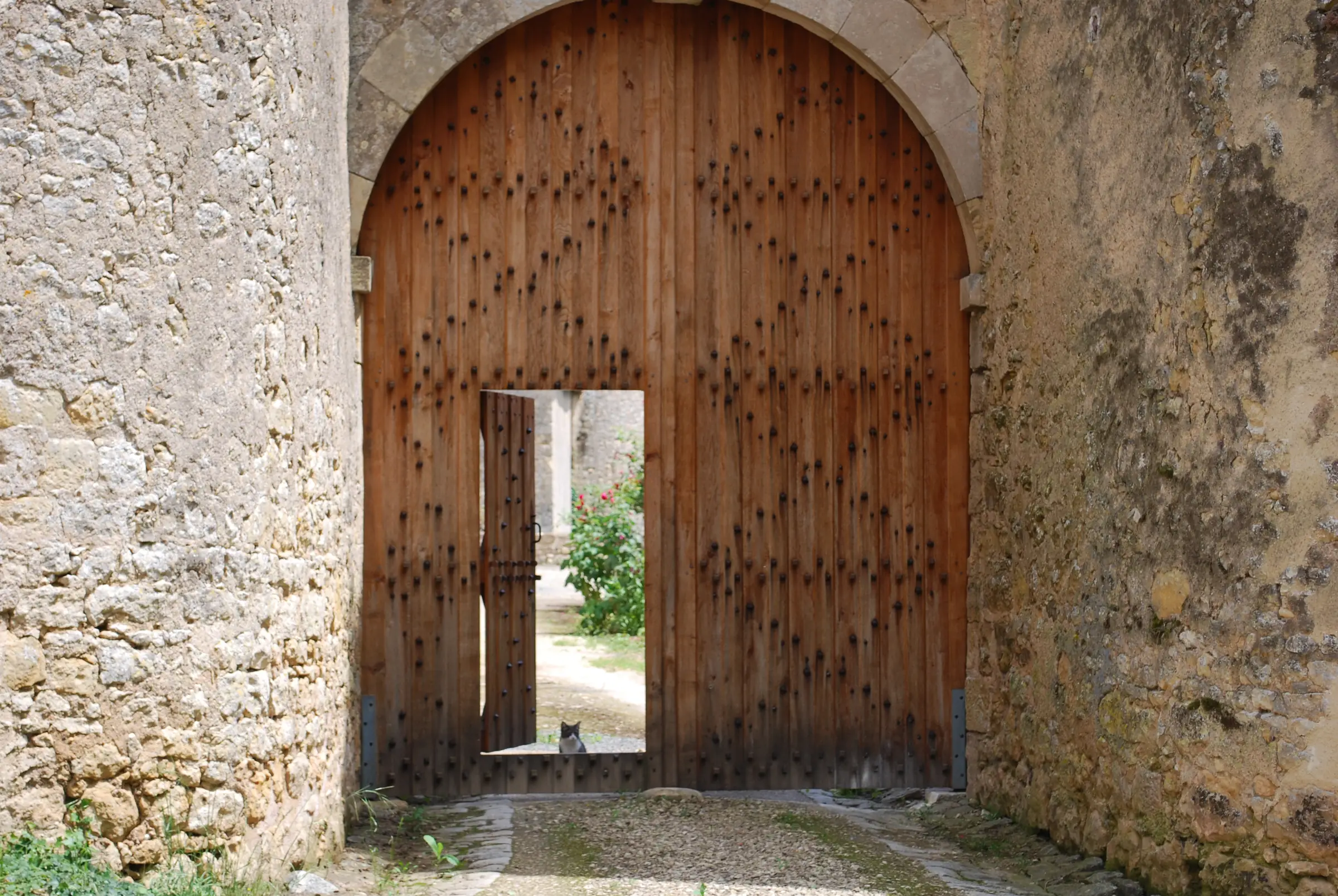 Château de Piogé