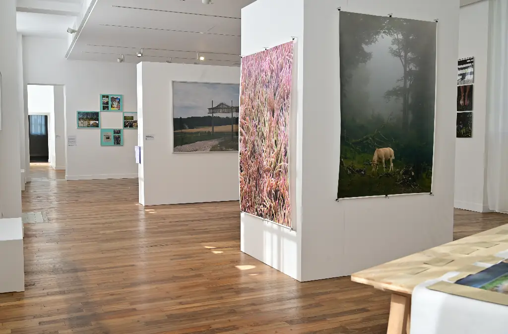 Centre d’art de la photographie - Espace Romain-Rolland