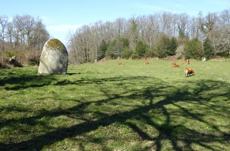 Menhir des Fichades