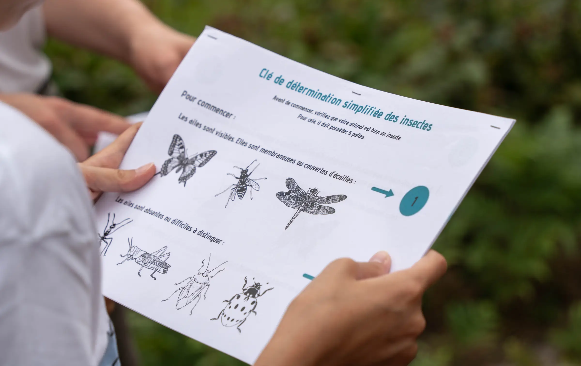 Atelier nature au Lescarret