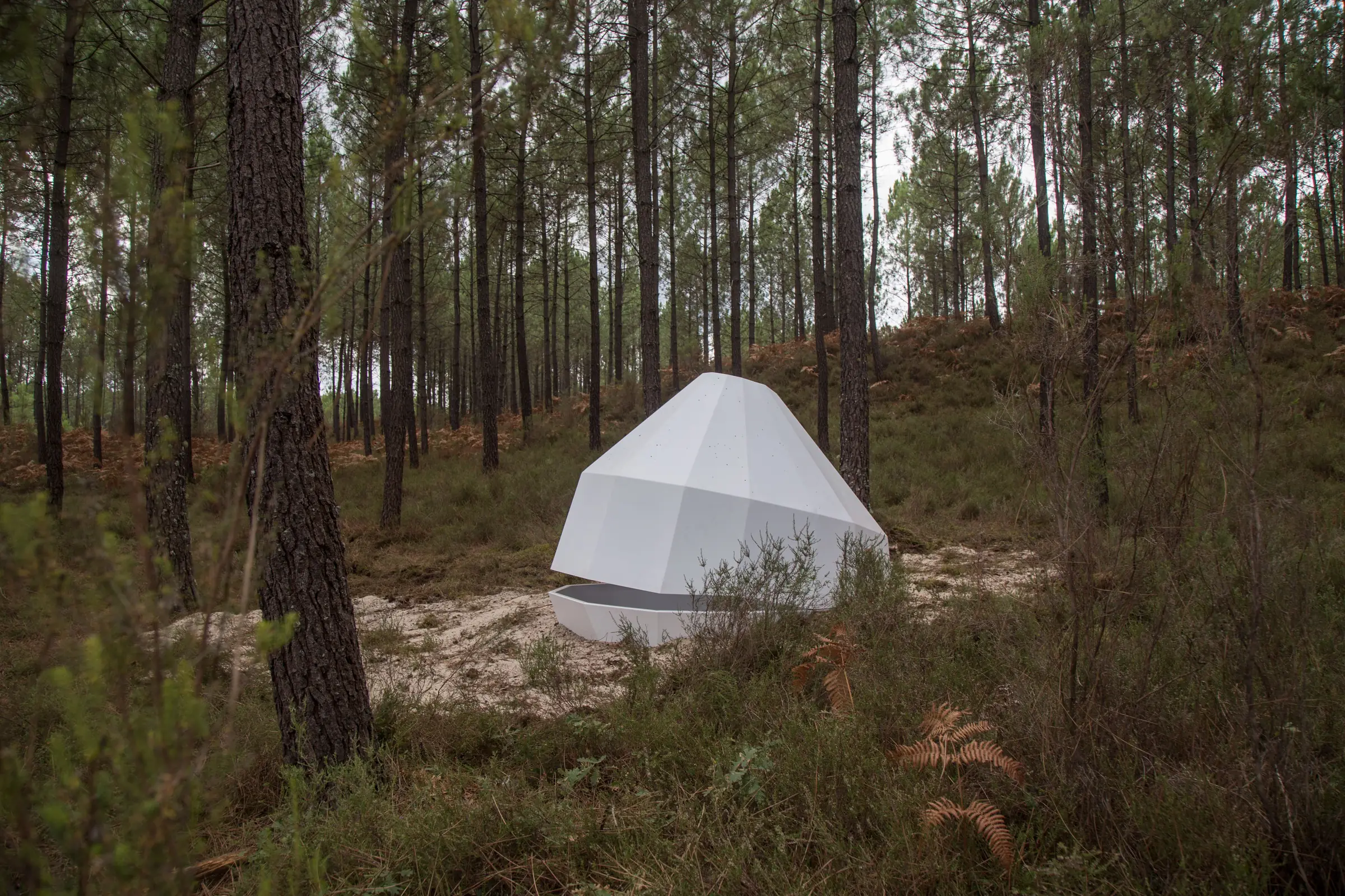 La Forêt d'Art Contemporain : La Constellation Cazalis, oeuvre n°26