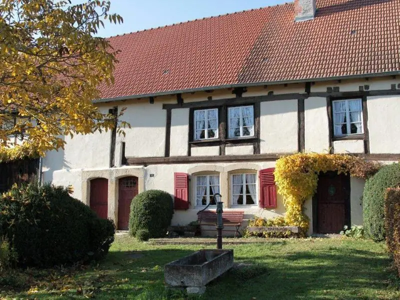 Concert au jardin - Amati SCHMITT