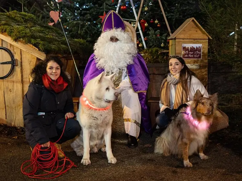 Marché de Noël au Cœur des Montagnes