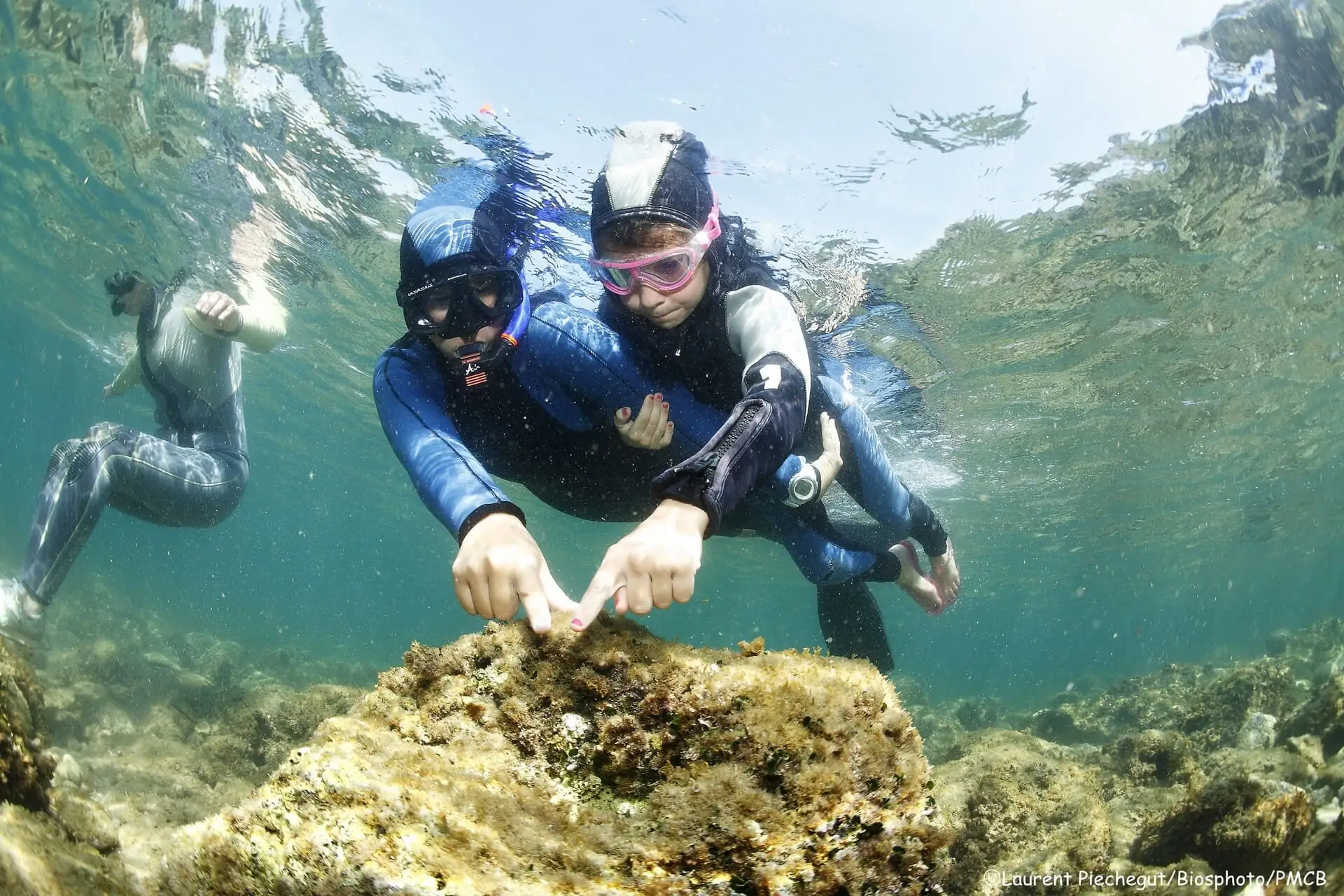 Snorkeling au coeur du Parc Marin