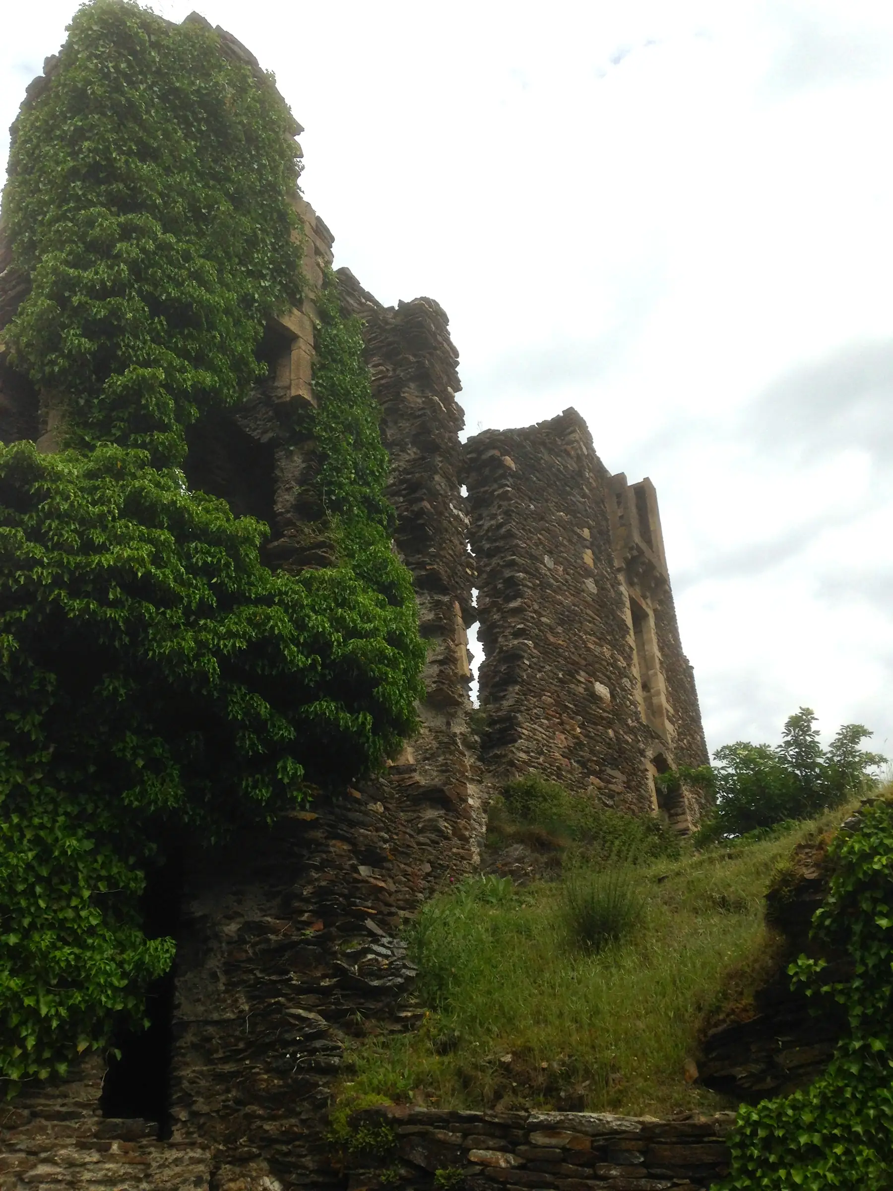 CHÂTEAU DE SAINT-JULIEN-D'ARPAON
