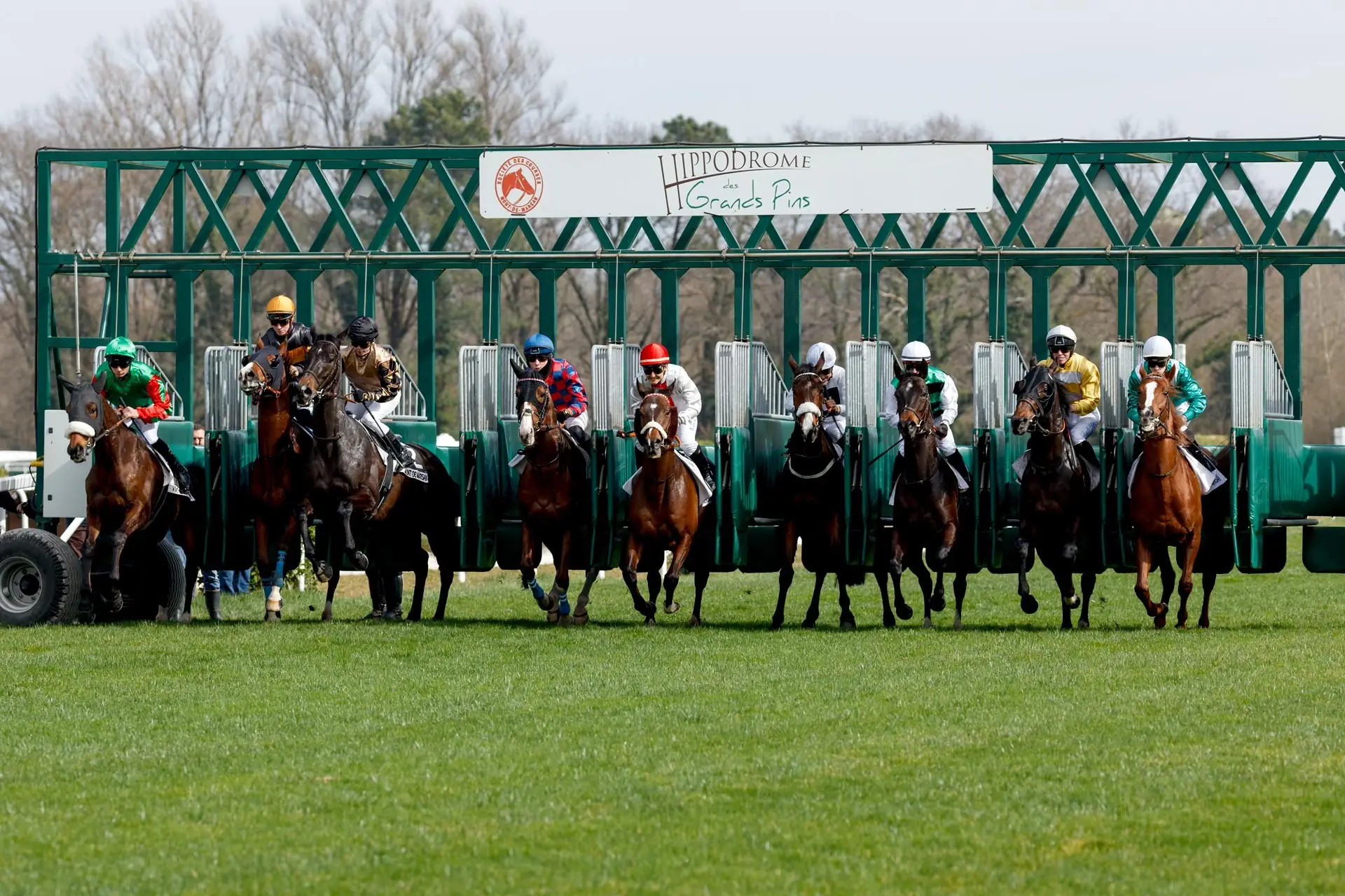 Courses hippiques
