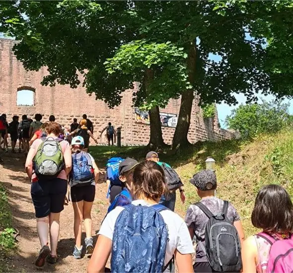 Expériences : Visite guidée château Wangenbourg