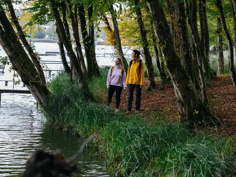 Les Rendez-vous Nature - Biodiversité entre marais, étang et forêt