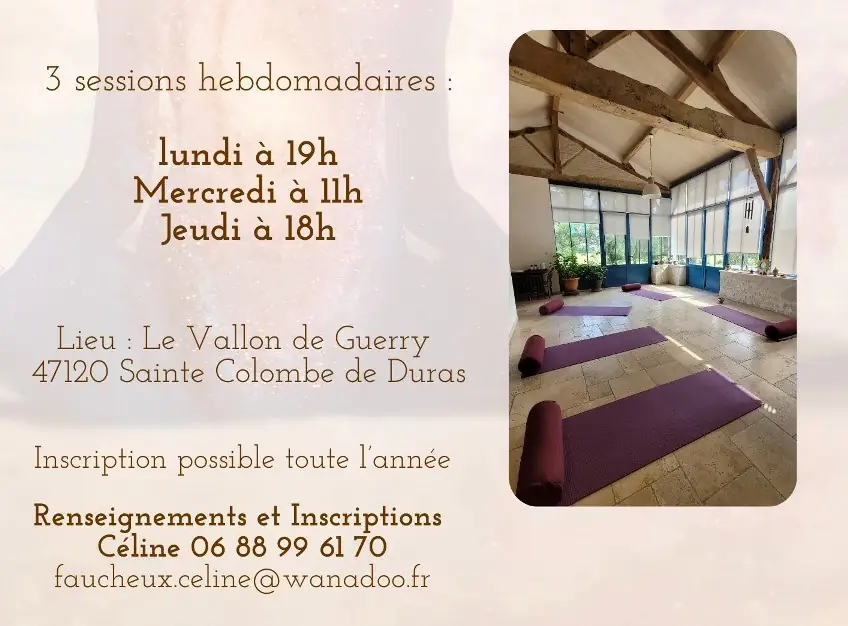 Séance de Hatha Yoga