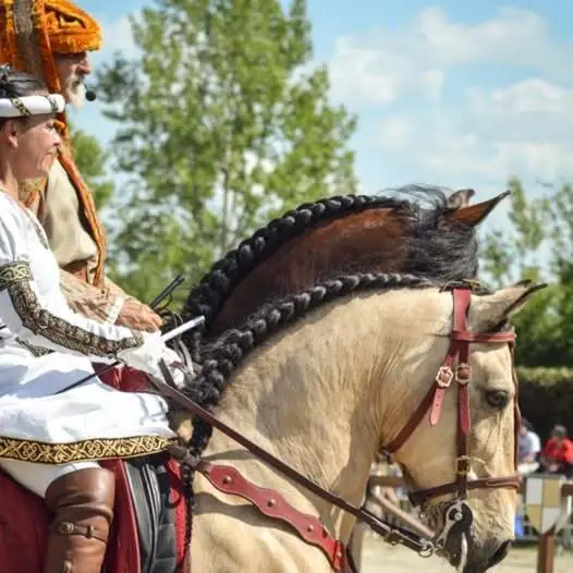 32ème Fête du cheval de Villeréal