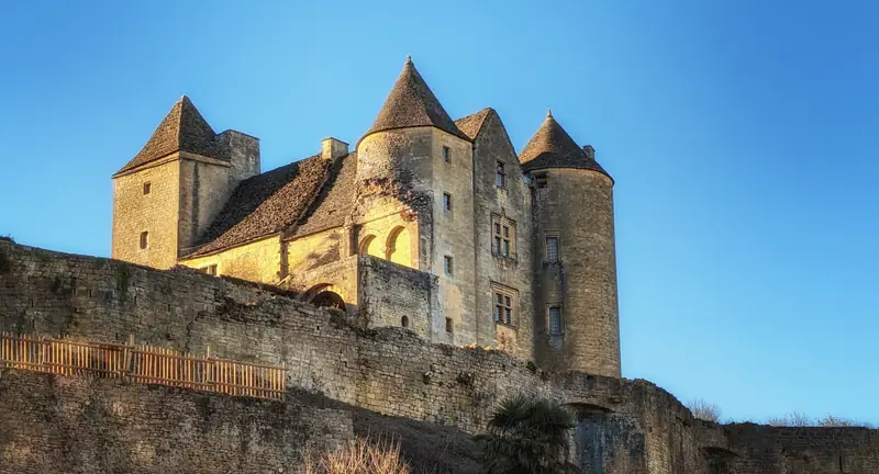 Château de Salignac