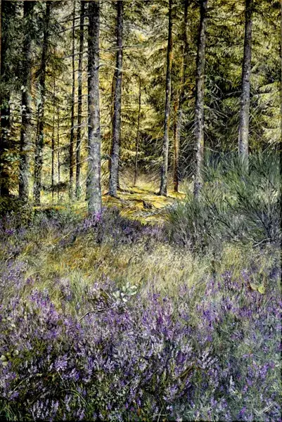 Exposition de Cathy Cavalier