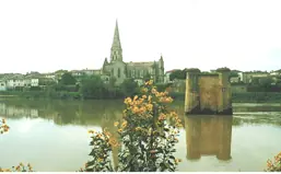 Piles de l'ancien pont métallique de Langon
