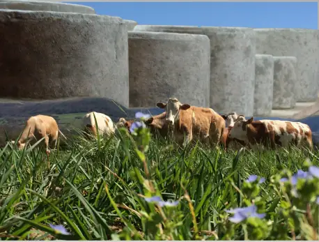 LA FERME DU TEIL