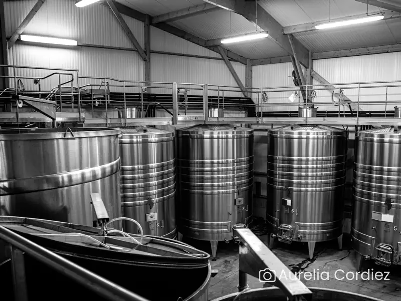 Visite-dégustation : Visite du domaine aux origines de l'appellation