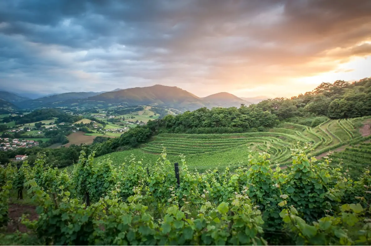 La guinguette des vignerons