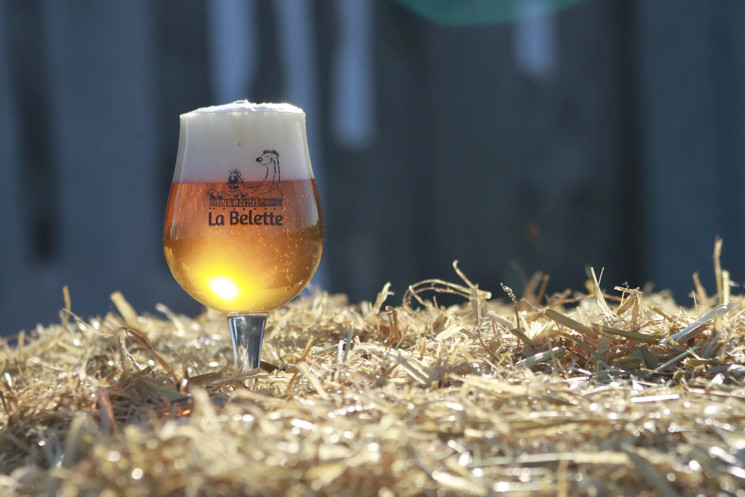 Visite dégustation à la Brasserie du Val de Sèvre