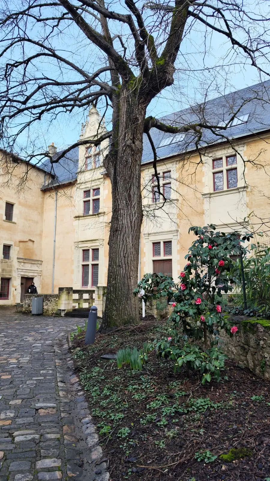 Hôtel Berthelot
