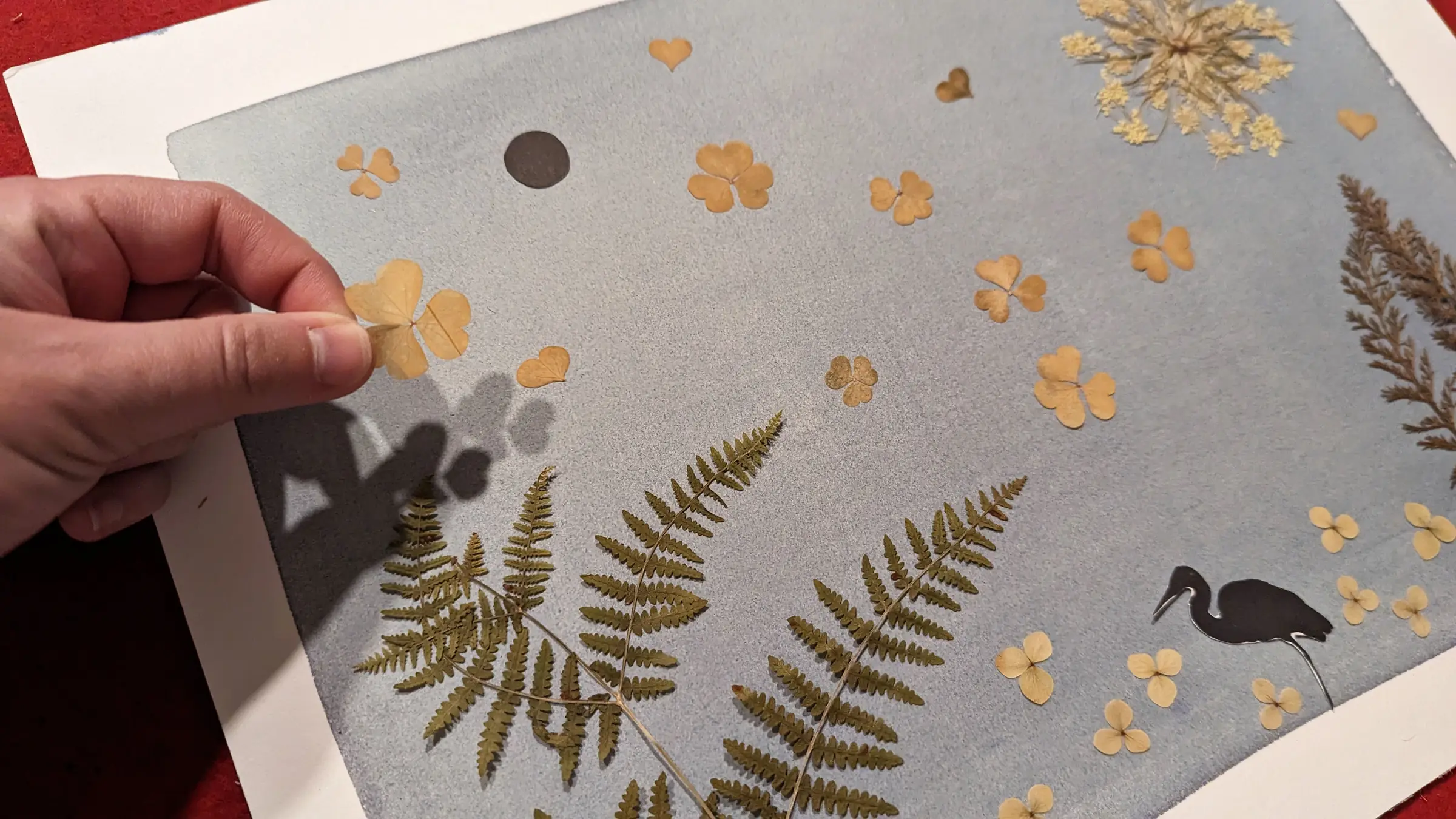 Initiation au cyanotype : autour du végétal