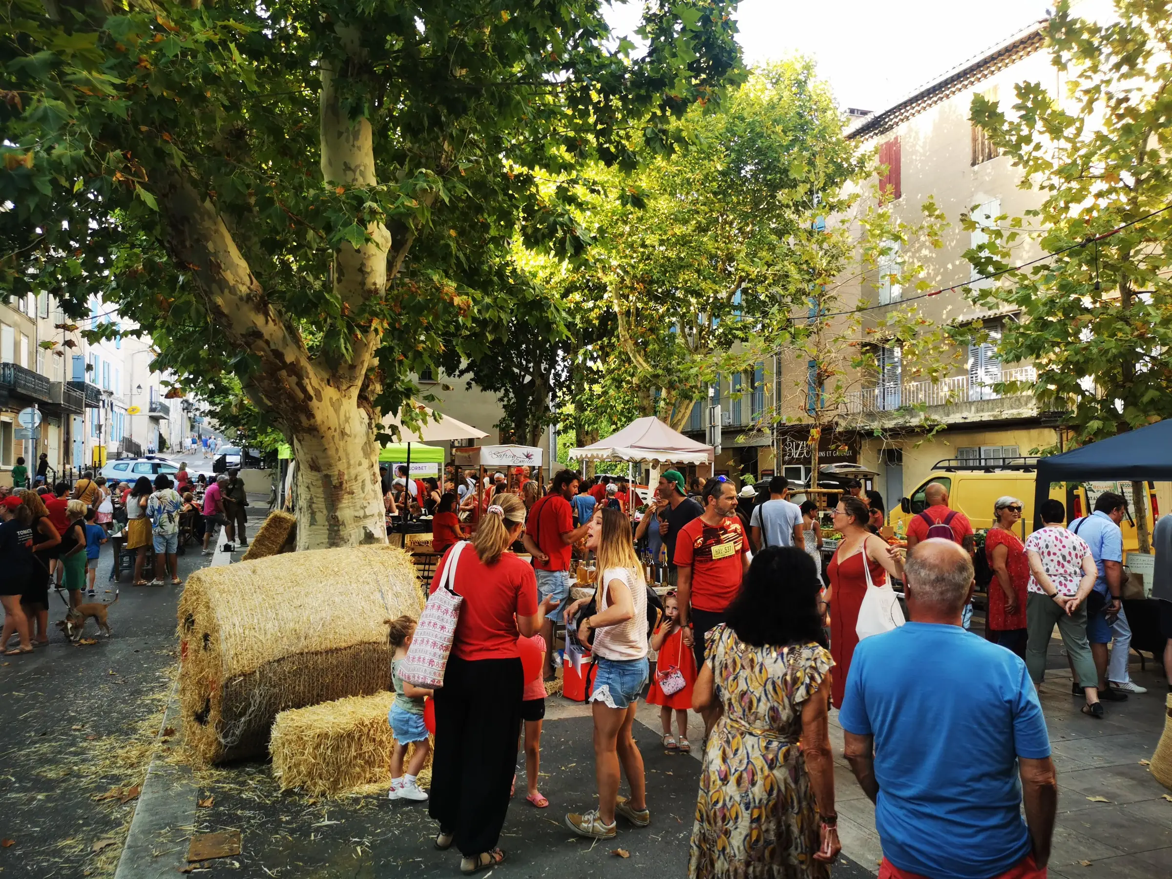 La Nuit de la Tomate