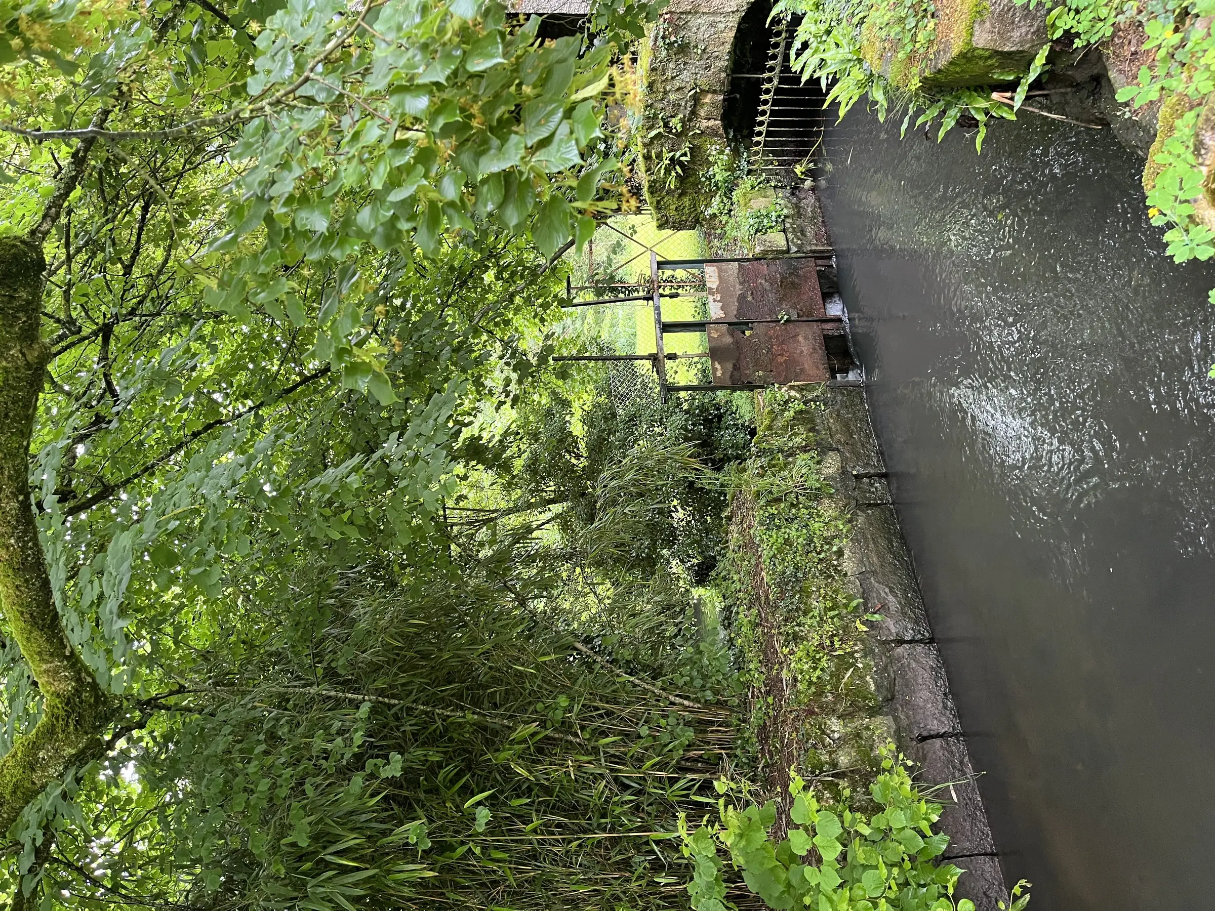 Moulin de Ringère