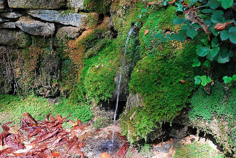 Site du mausolée gallo-romain de Faverolles