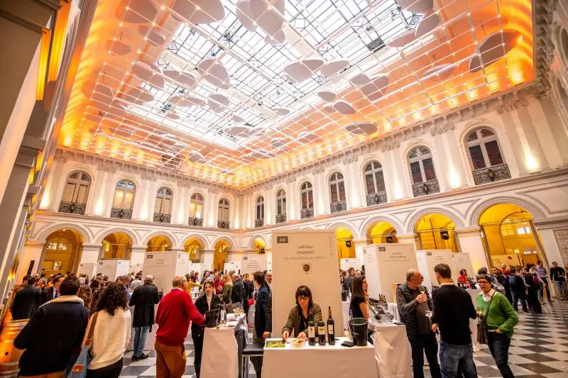 Bordeaux Tasting