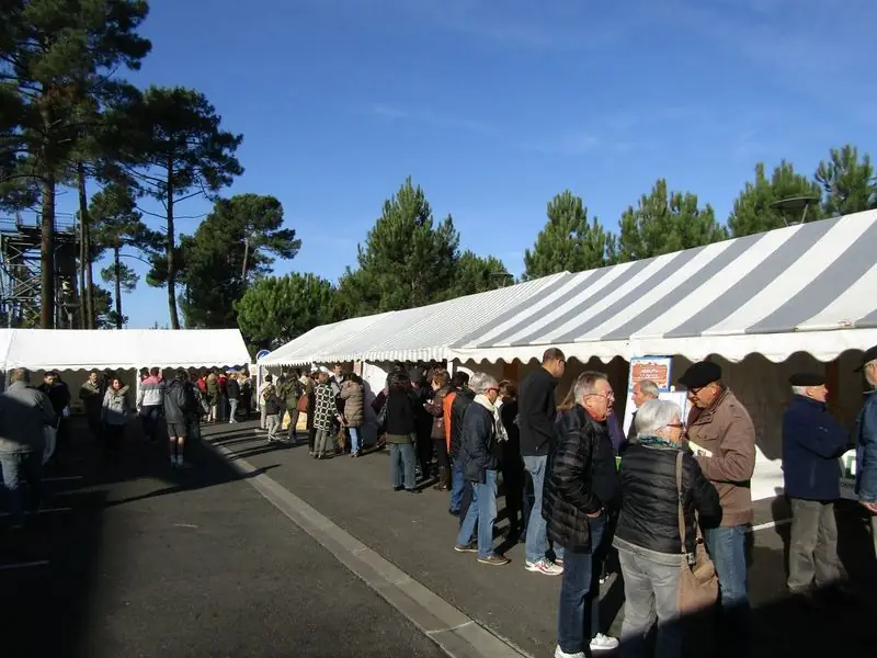 La journée Verte