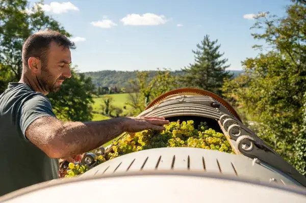 Domaine le Verdus