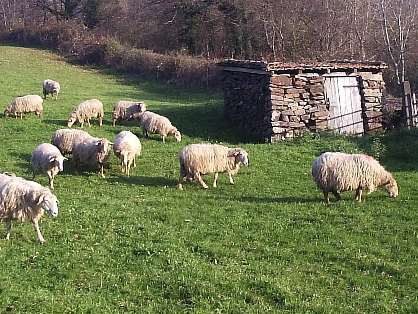 Visite de la ferme Tambourin