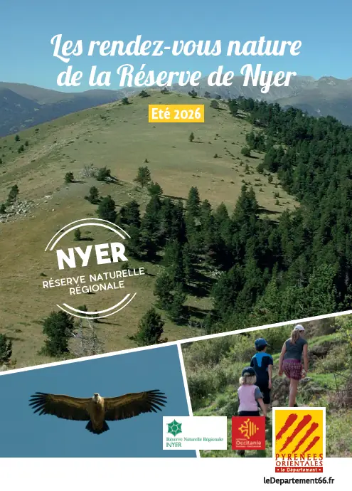 COMPTAGE DES CHAUVES-SOURIS DU VILLAGE DE NYER