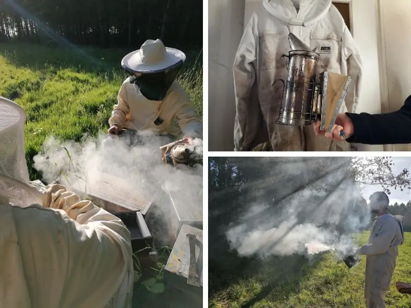 L'abeille de Brenne