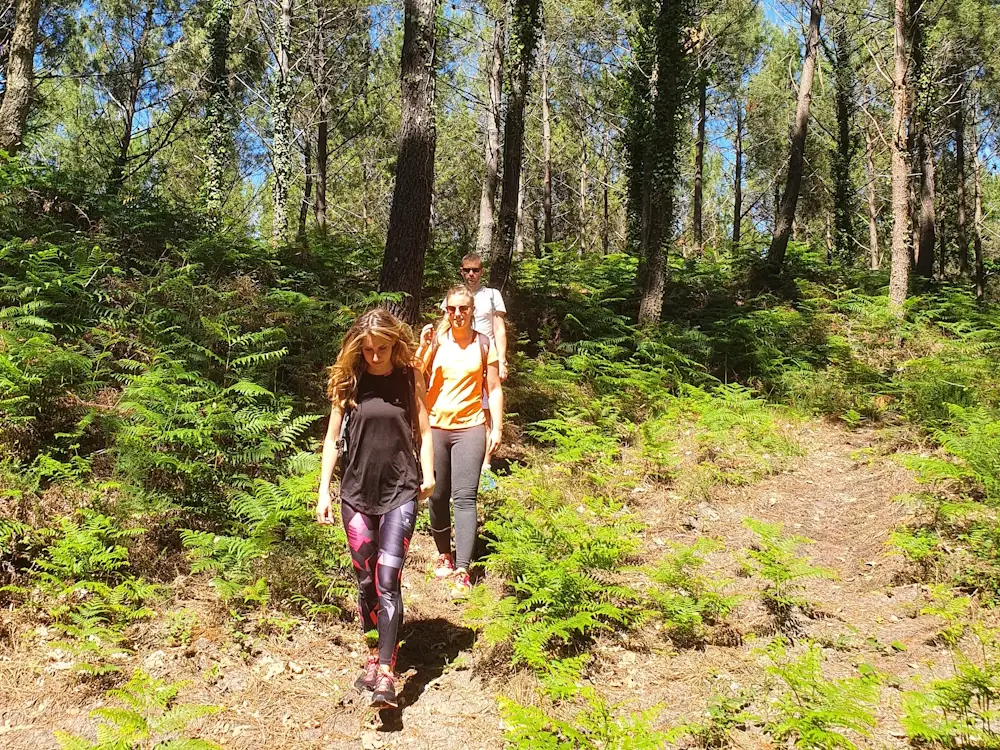 Bain de forêt