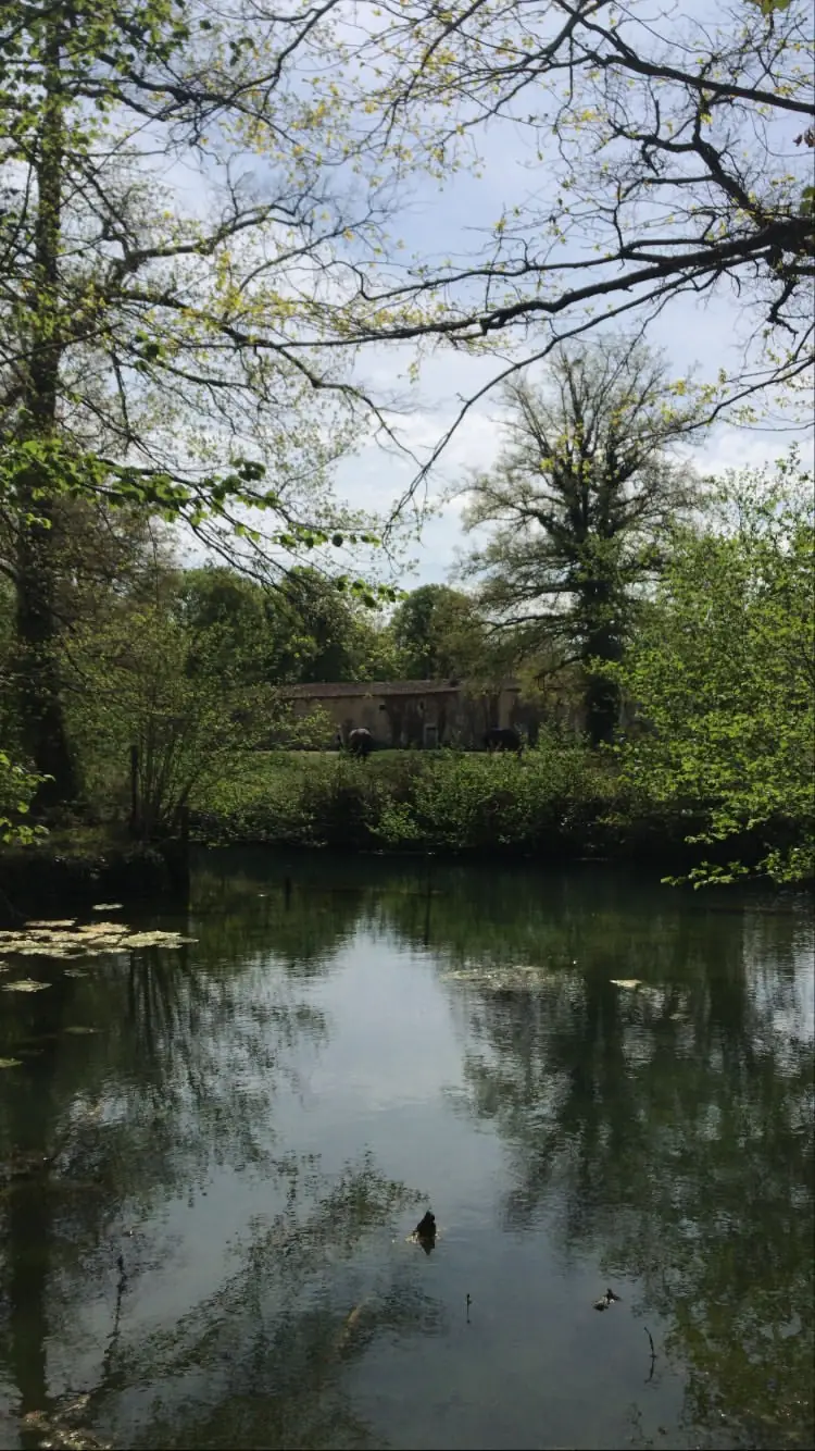 A la découverte des Espaces Naturels Sensibles de la Vienne - Le petit peuple de la forêt de Scévolles