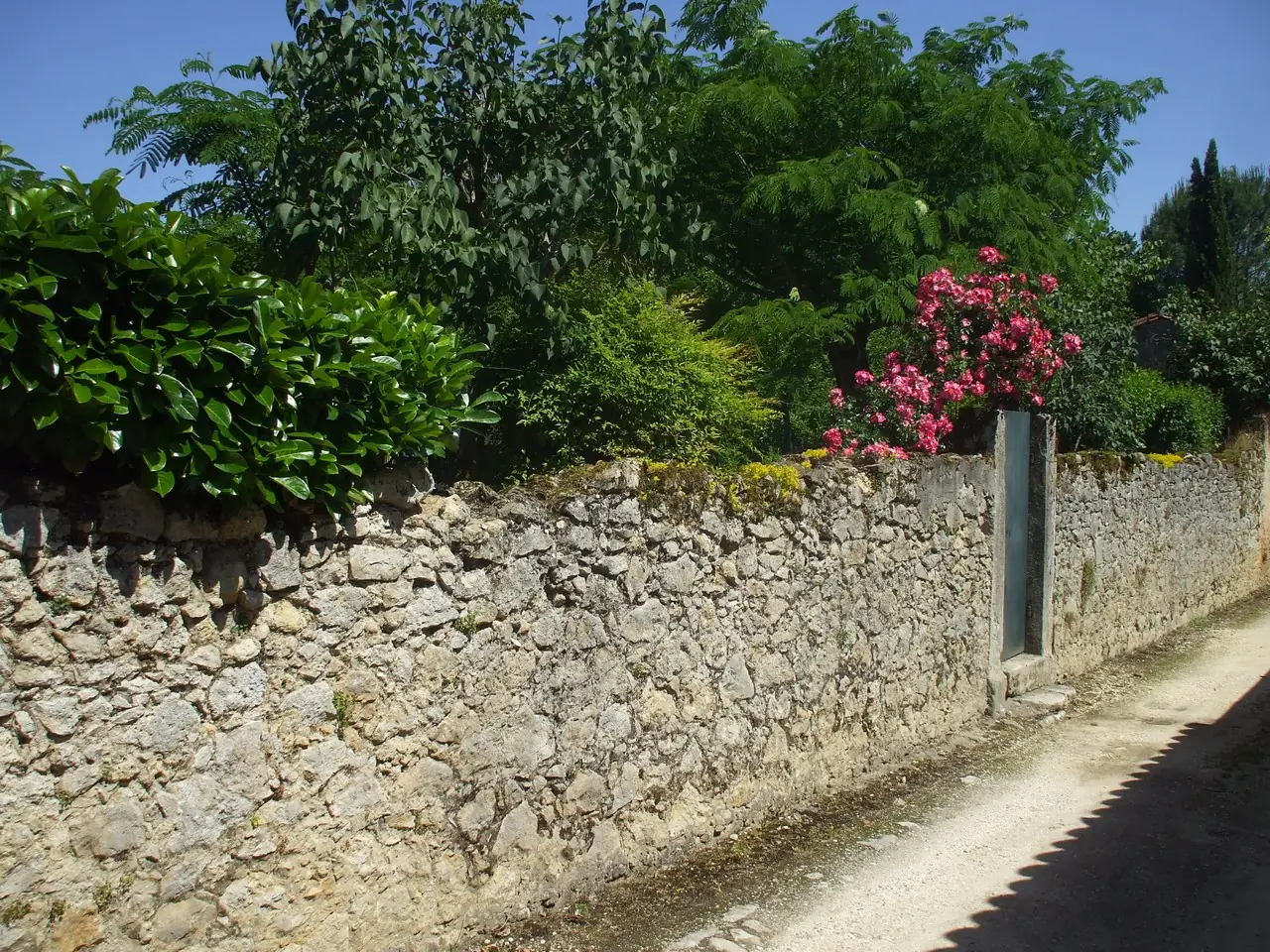Visite commentée de Labastide d'Armagnac