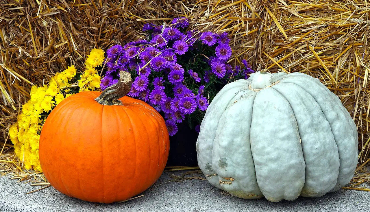 Fête de l'automne