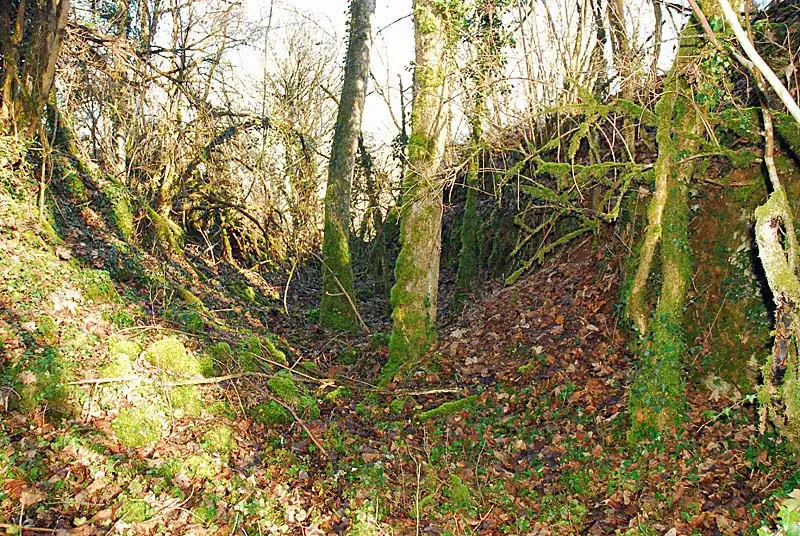 Fort de Brevoines