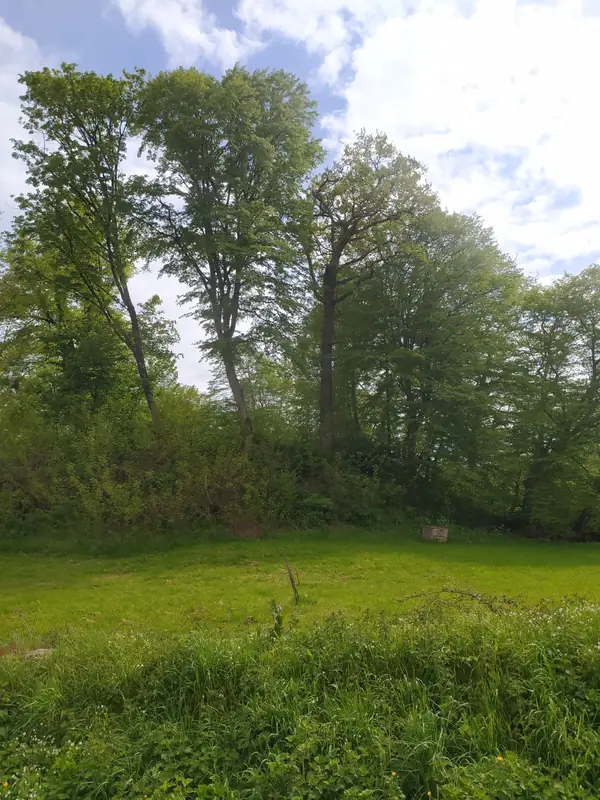 Motte féodale