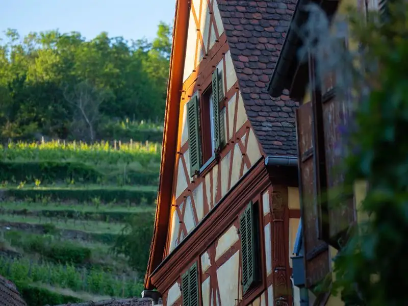 Maison Bohn à pan sculpté