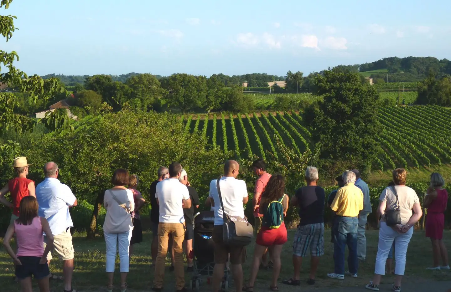 Repas chez le vigneron, au Domaine Dou Bernès