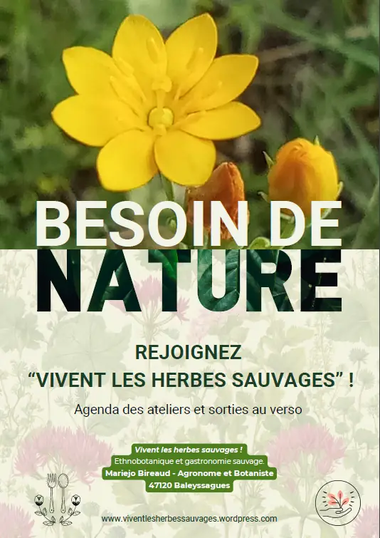 Les balades botaniques avec Vivent les herbes sauvages au Domaine les Hauts de Riquets